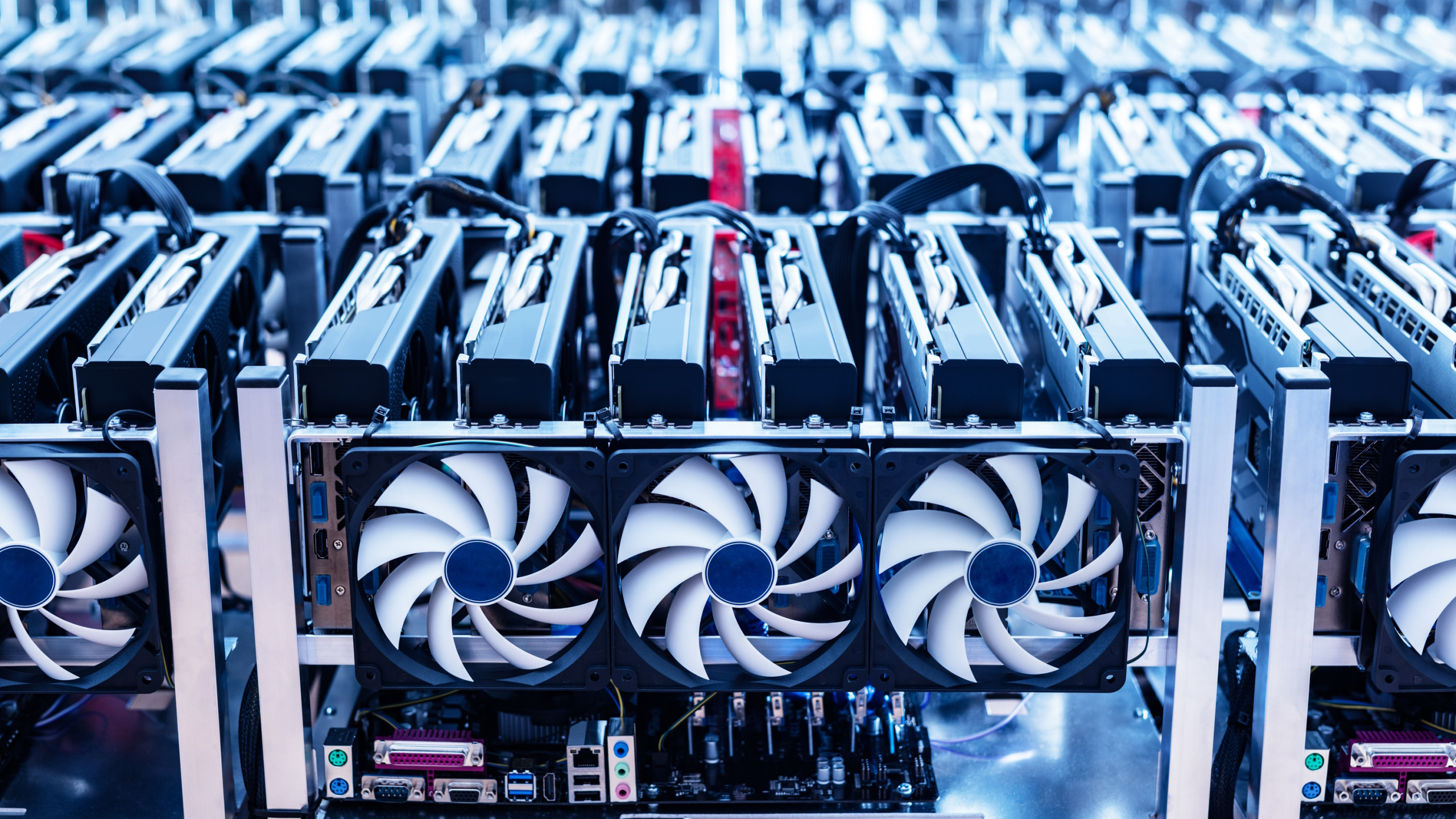 For now, the graphics card market appears to be demonstrating a robust and flourishing state